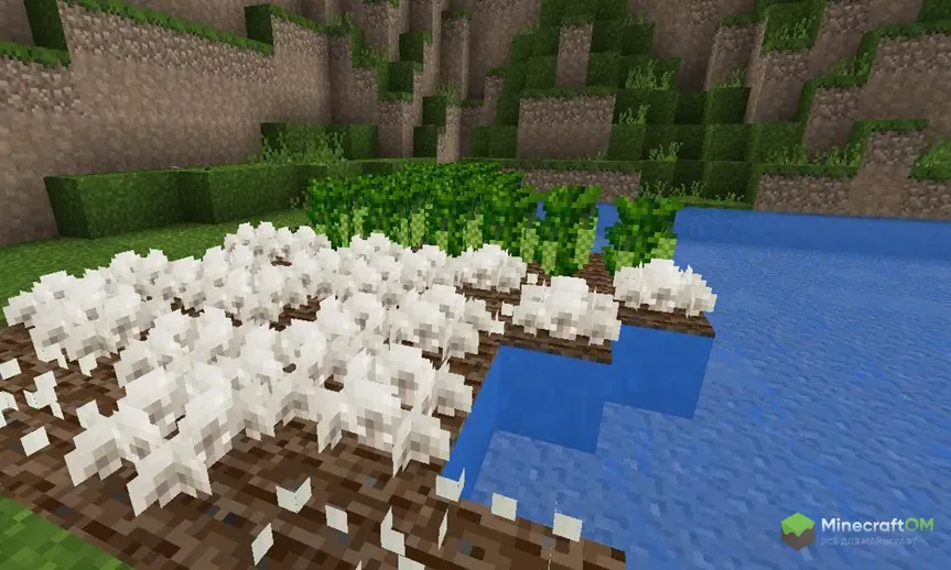 Белые грибочки