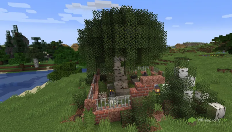 Кладбище под берёзой