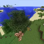 Прекрасные бабочки