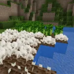 Белые грибочки