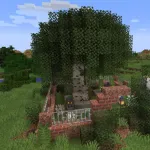 Кладбище под берёзой