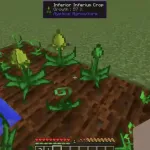 Инфериевое растение