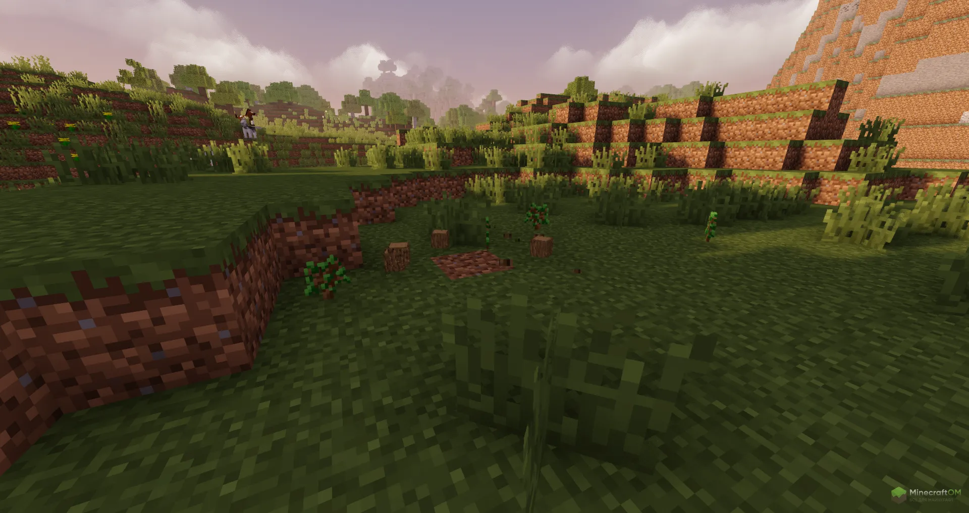 Добытая древесина