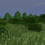 Dynamic Surroundings