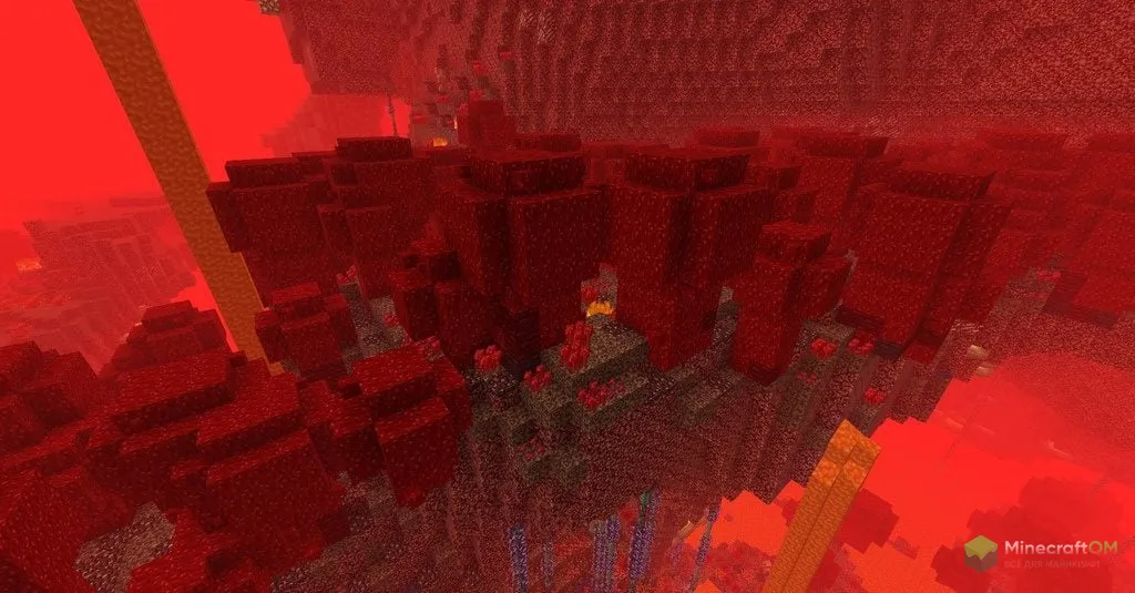 Лес адских бородавок