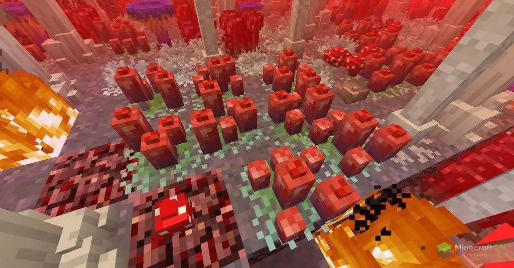 Новые адские грибы