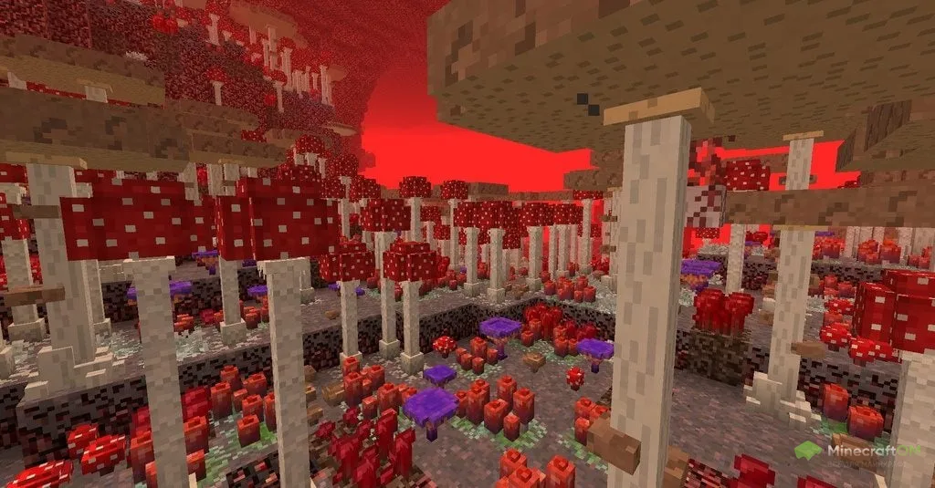 Грибной лес