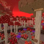 Грибной лес