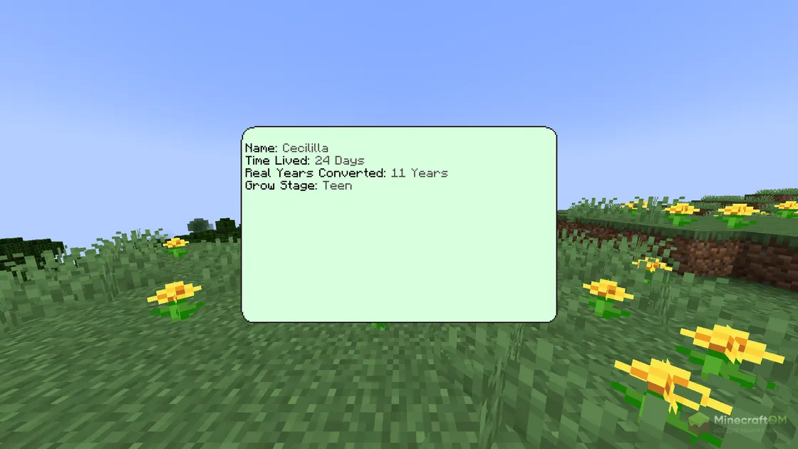 Информация о возрасте персонажа