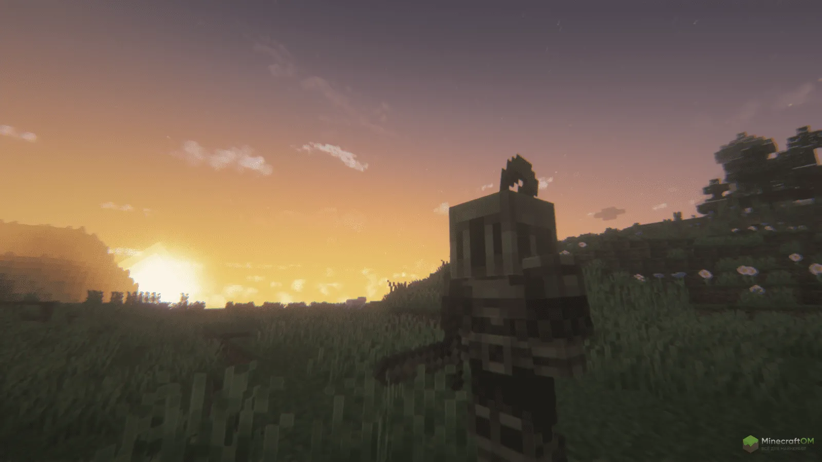 Бешеный рыцарь