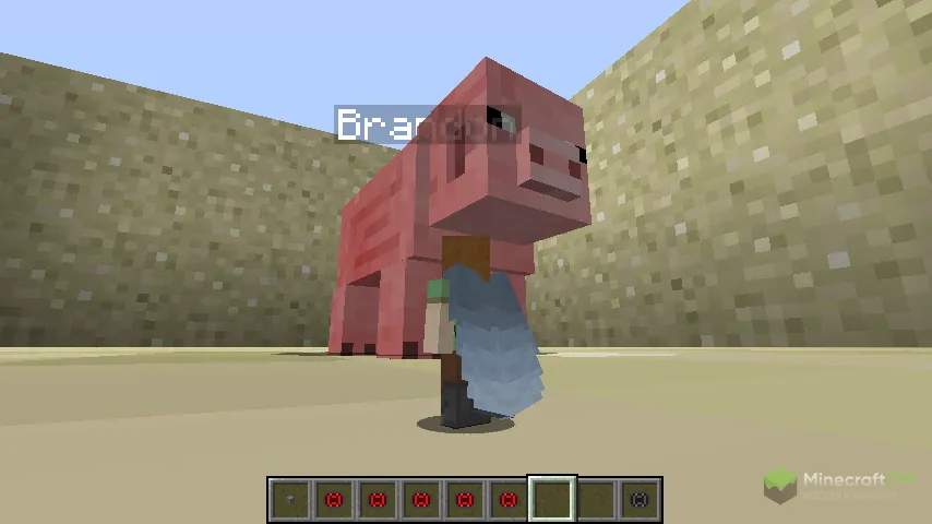 Маленькая свинья и еще более маленький персонаж