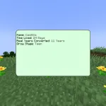 Информация о возрасте персонажа