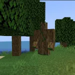 Лесной страж