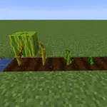 Crops 3D
