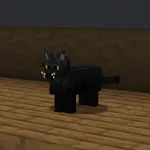 Черный котик