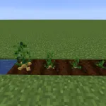 Crops 3D