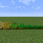 Crops 3D