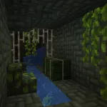 Блок камень с водорослями