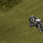 Моб зебра