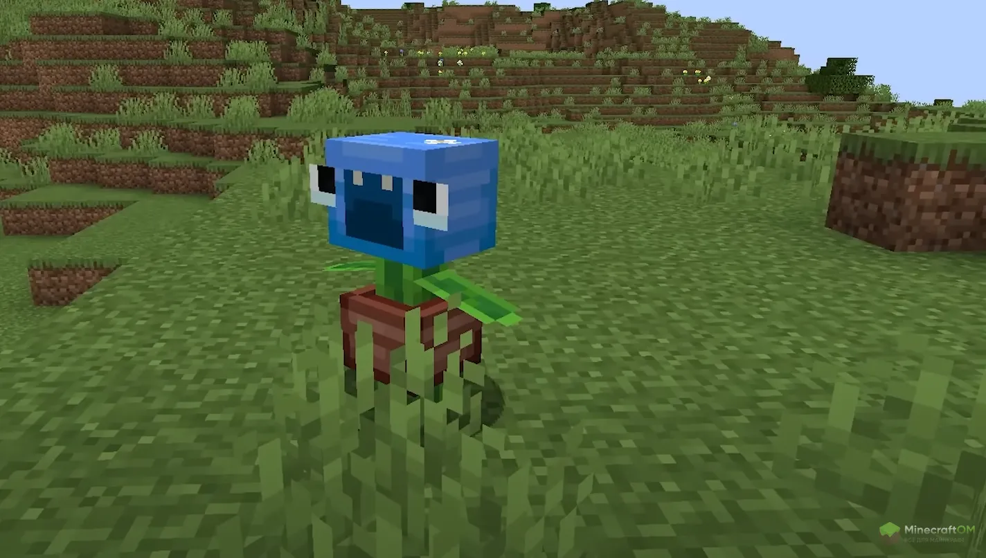 Растение Бобби