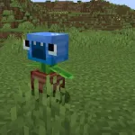 Растение Бобби