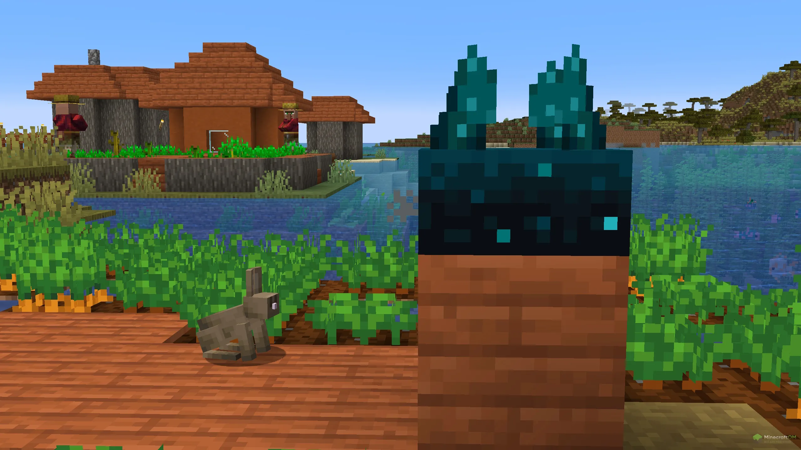 Новые возбудители скалк-сенсора