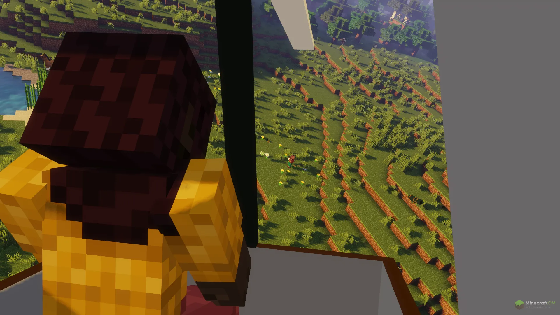 Вид из самолета от 3-его лица