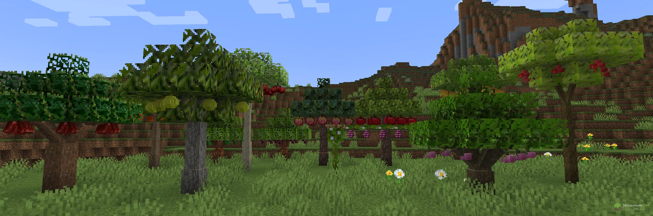 Плоды на деревьях