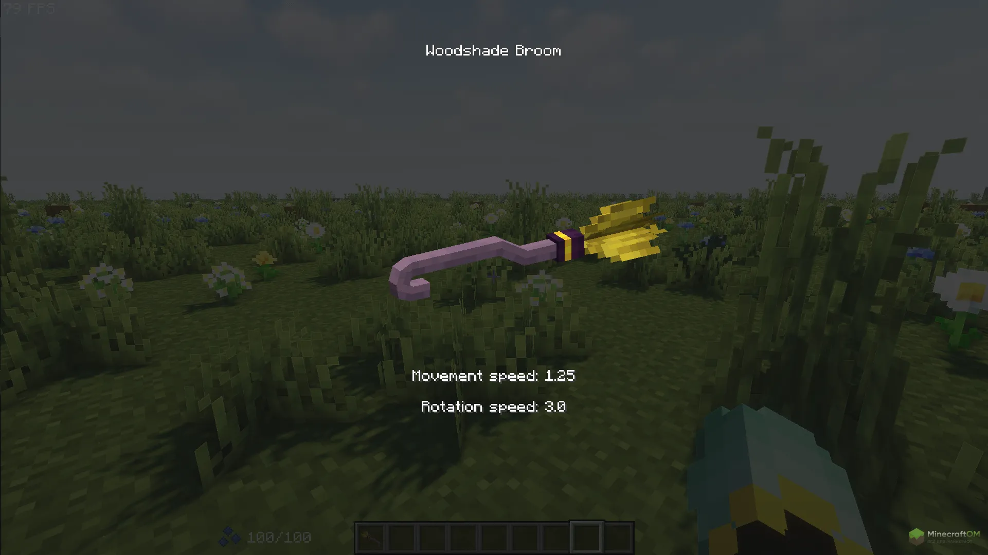 Характеристики метлы