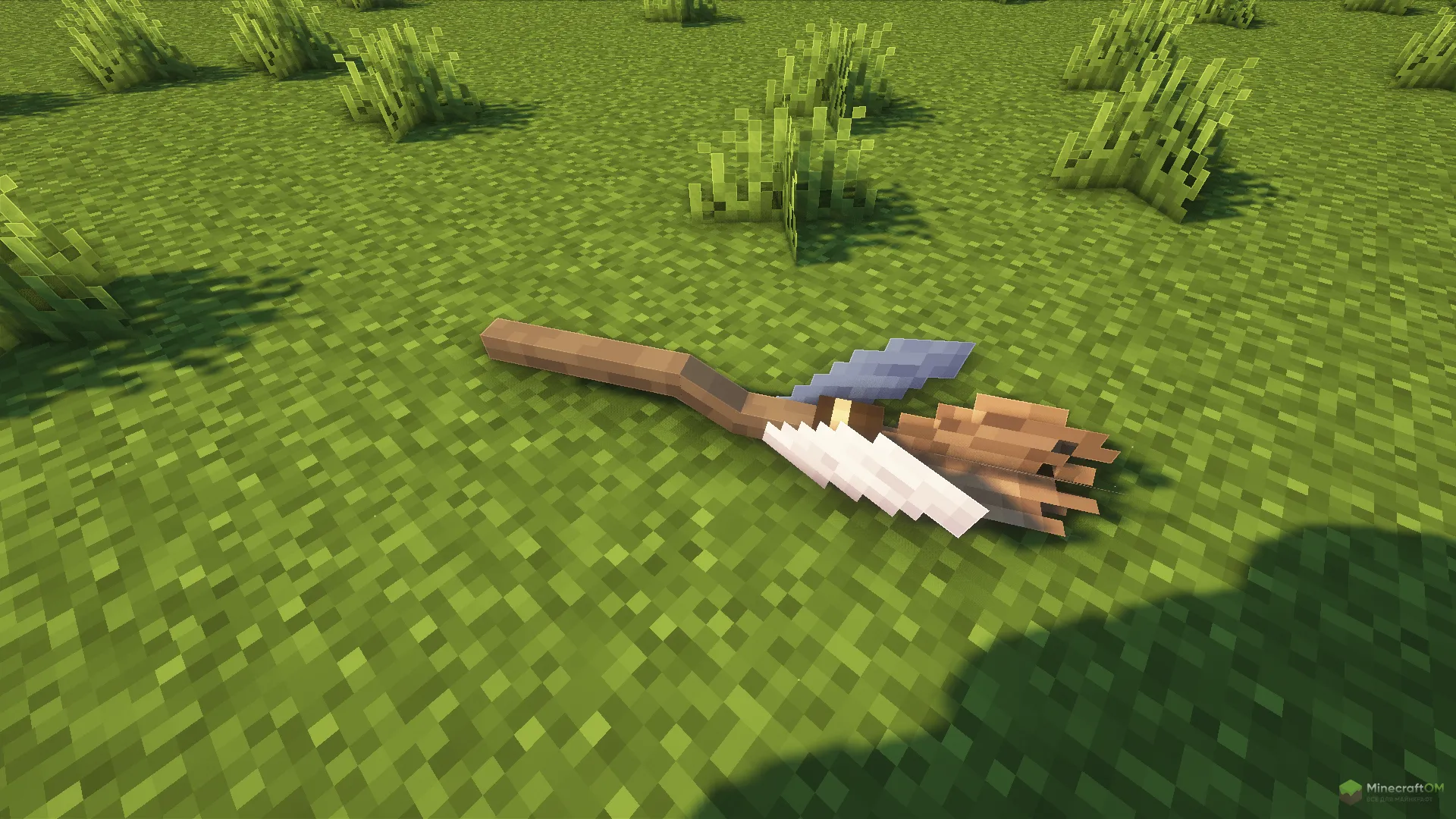 Дизайн метлы