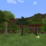 Плоды на деревьях