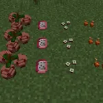 Виды еды в формате блоков