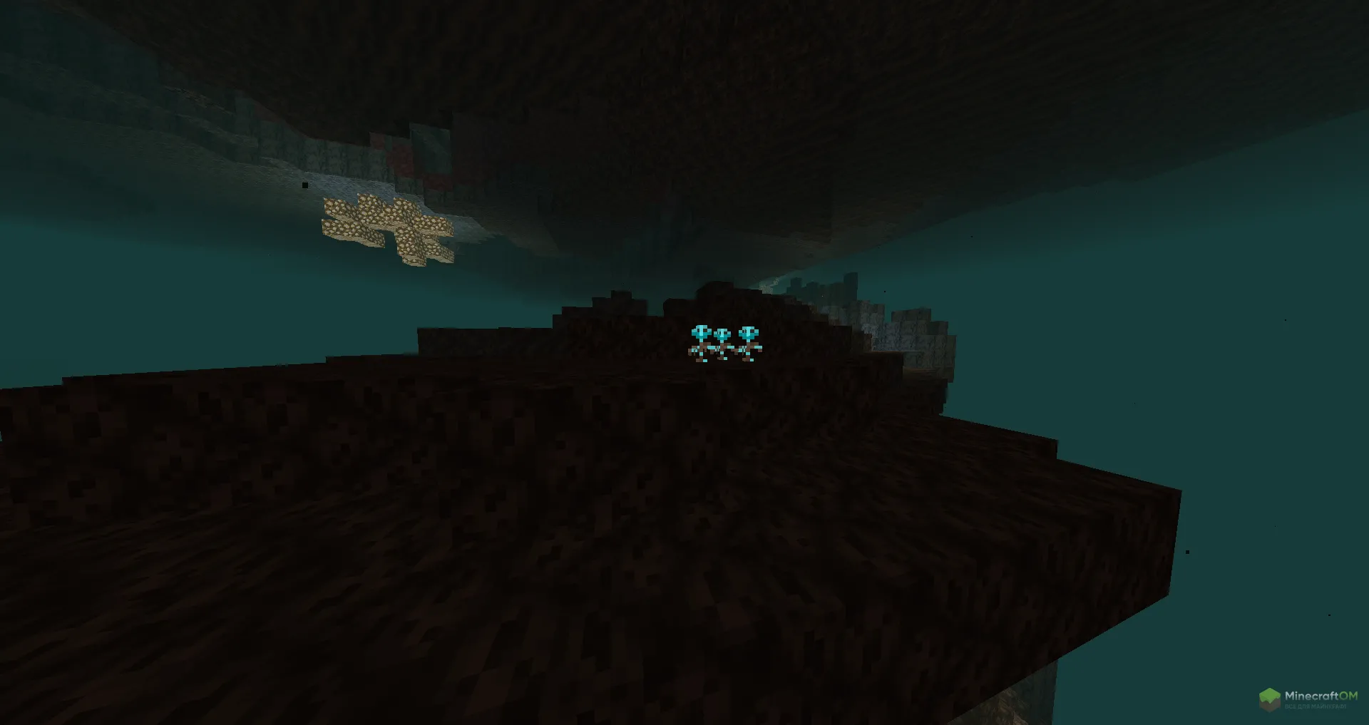 Несколько роз в Незере