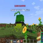 Графический интерфейс пользователя