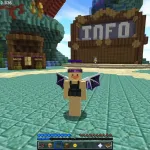 Функции чита в игре