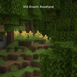 Biomes O' Plenty's Old Growth Woodland