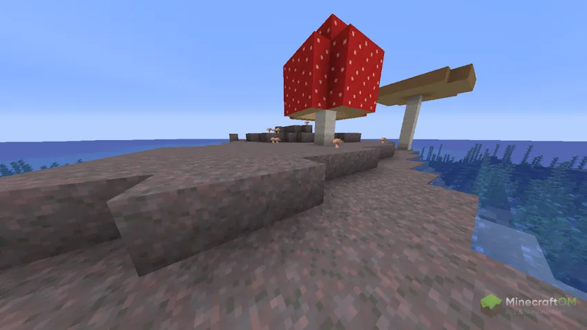 грибной биом