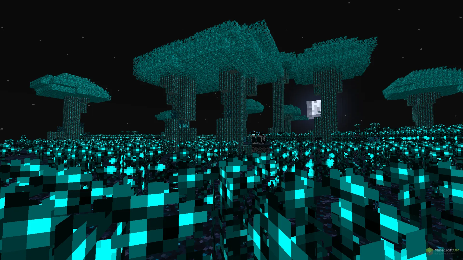 Долина скалка