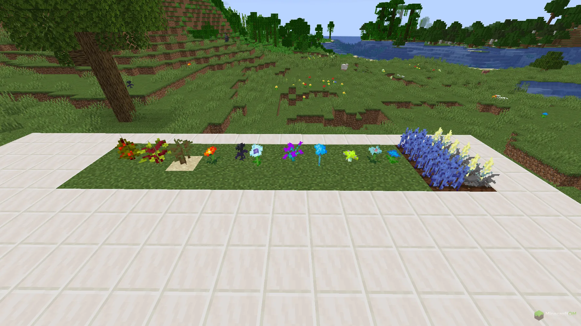 Новые растения