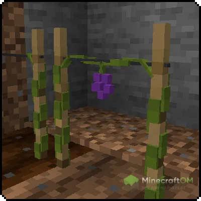 Урожай винограда