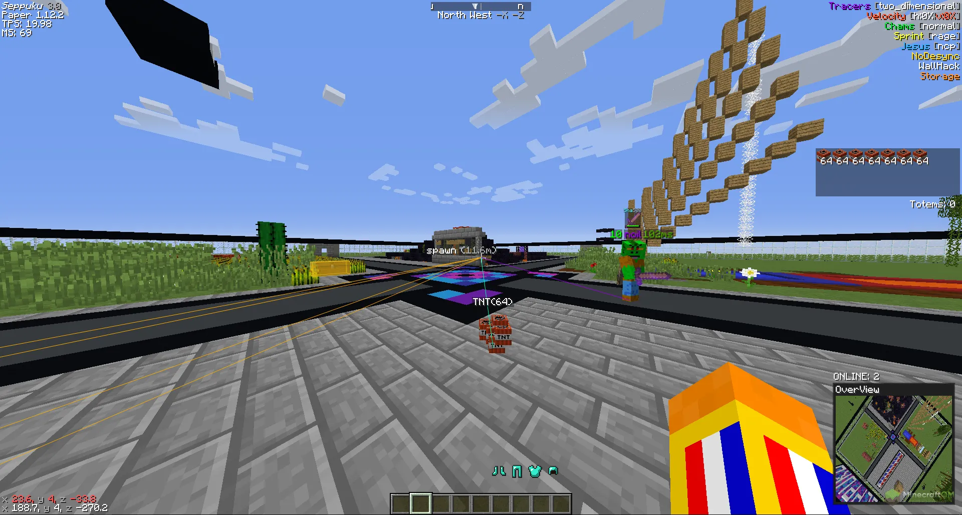 Чит в действии на сервере