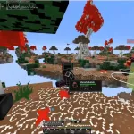 Функции чита