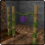 Урожай винограда