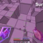 Surround