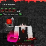 Функции чита в игре