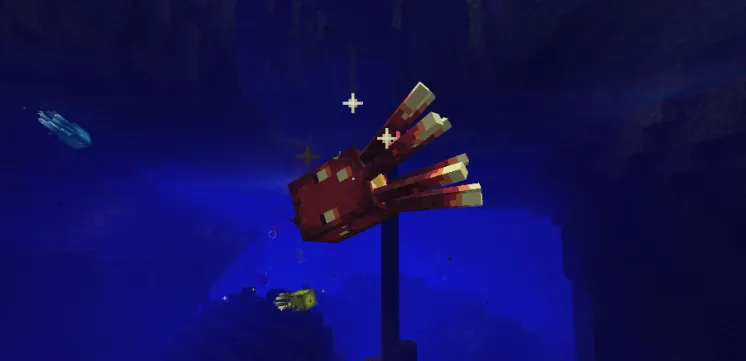 Кальмар красного цвета