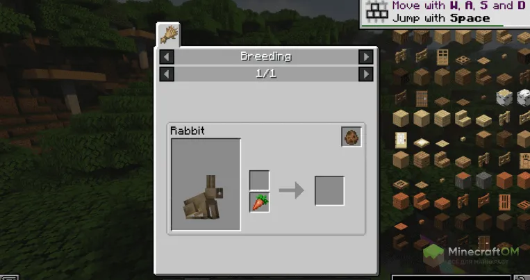 Описание кролика