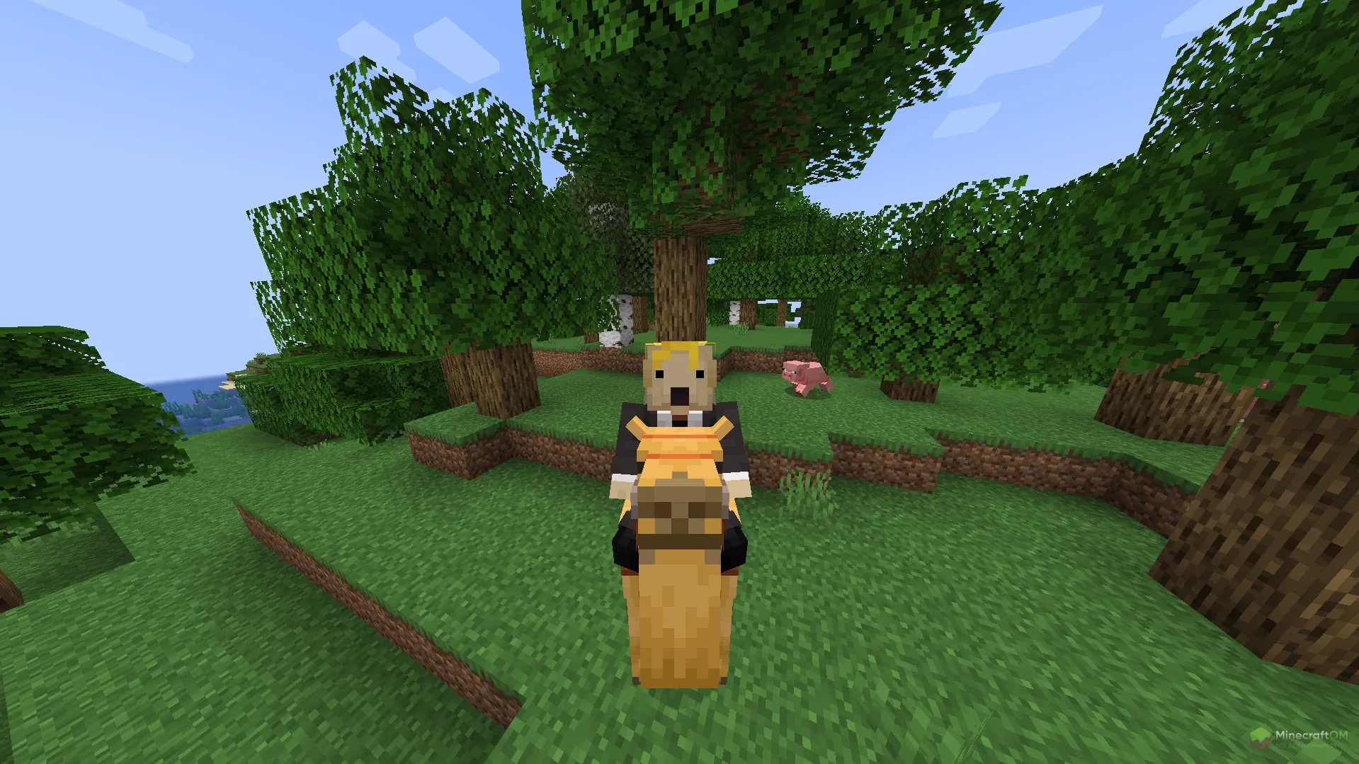 Стратегическое использование верблюдов в моде Ramel