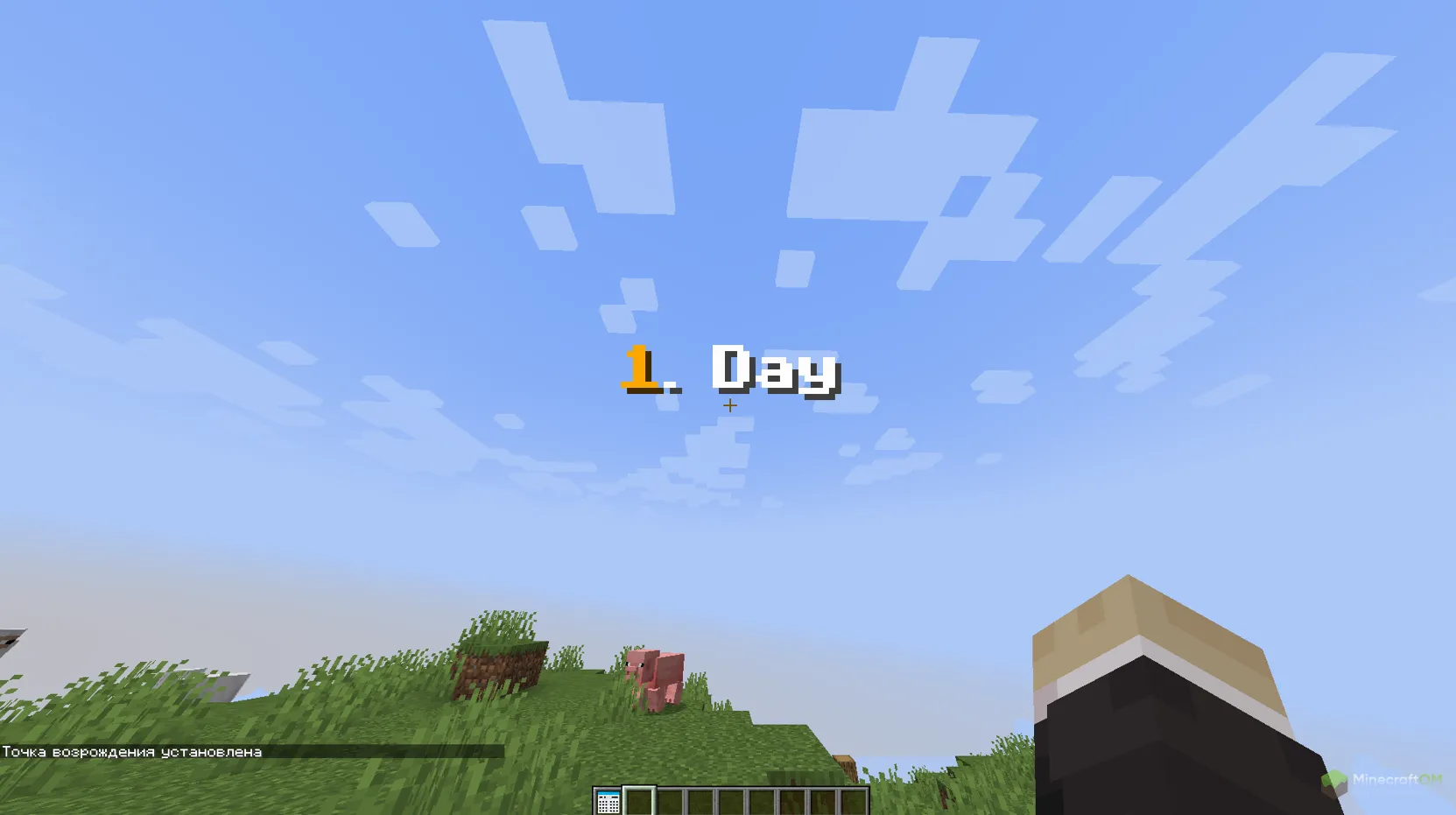 Счетчик дней с модом Day Counter