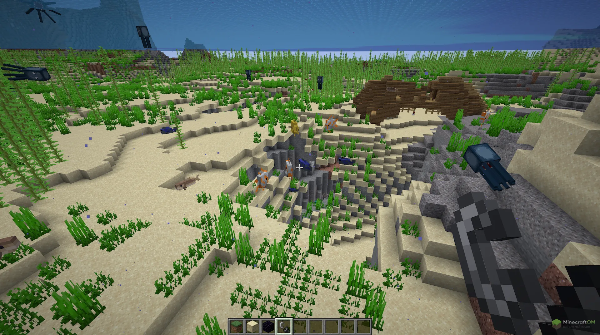 Полная видимость под водой